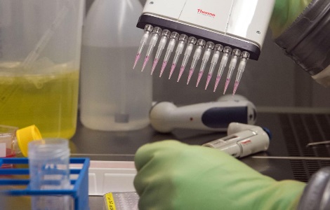 Frankenstein, la proteina che guarisce le ferite