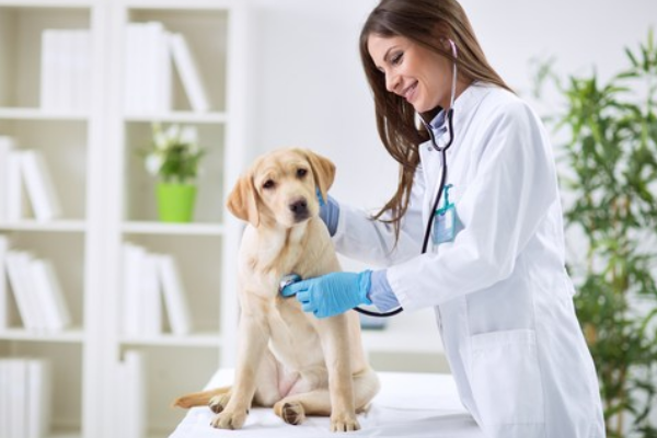 Anche nella “pet-prevenzione” non ci sono più le stagioni di una volta