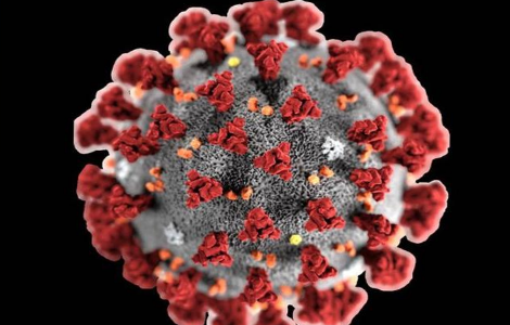 Coronavirus e malattie rare: Al via un questionario on line per conoscere bisogni e necessità dei pazienti
